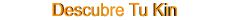Descubre Tu Kin                                                        Encuentra tu Kin, tu firma o sello gal�ctico de nacimiento, te ayudar� a conocerte a t� y a los dem�s.